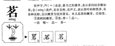 茗字五行|茗的五行属什么,茗字的五行属性,茗的寓意